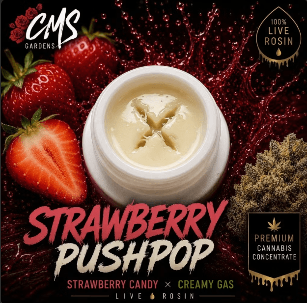 CMS Gardens Strawberry Push Pop - 2g Live Rosin