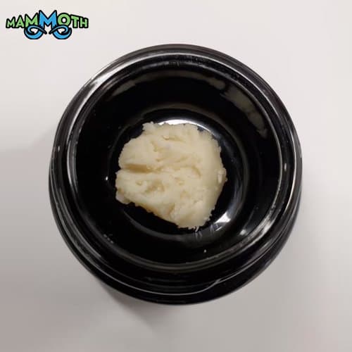 Mammoth Don Mega | 90µ 1st Pull Live Rosin Batter | 1g