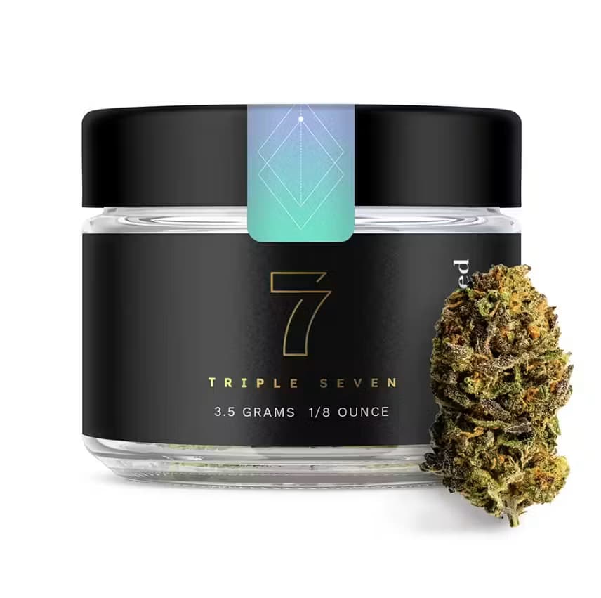 Triple 7 Triple 7 Crown Jewel (H) Flower 3.5g