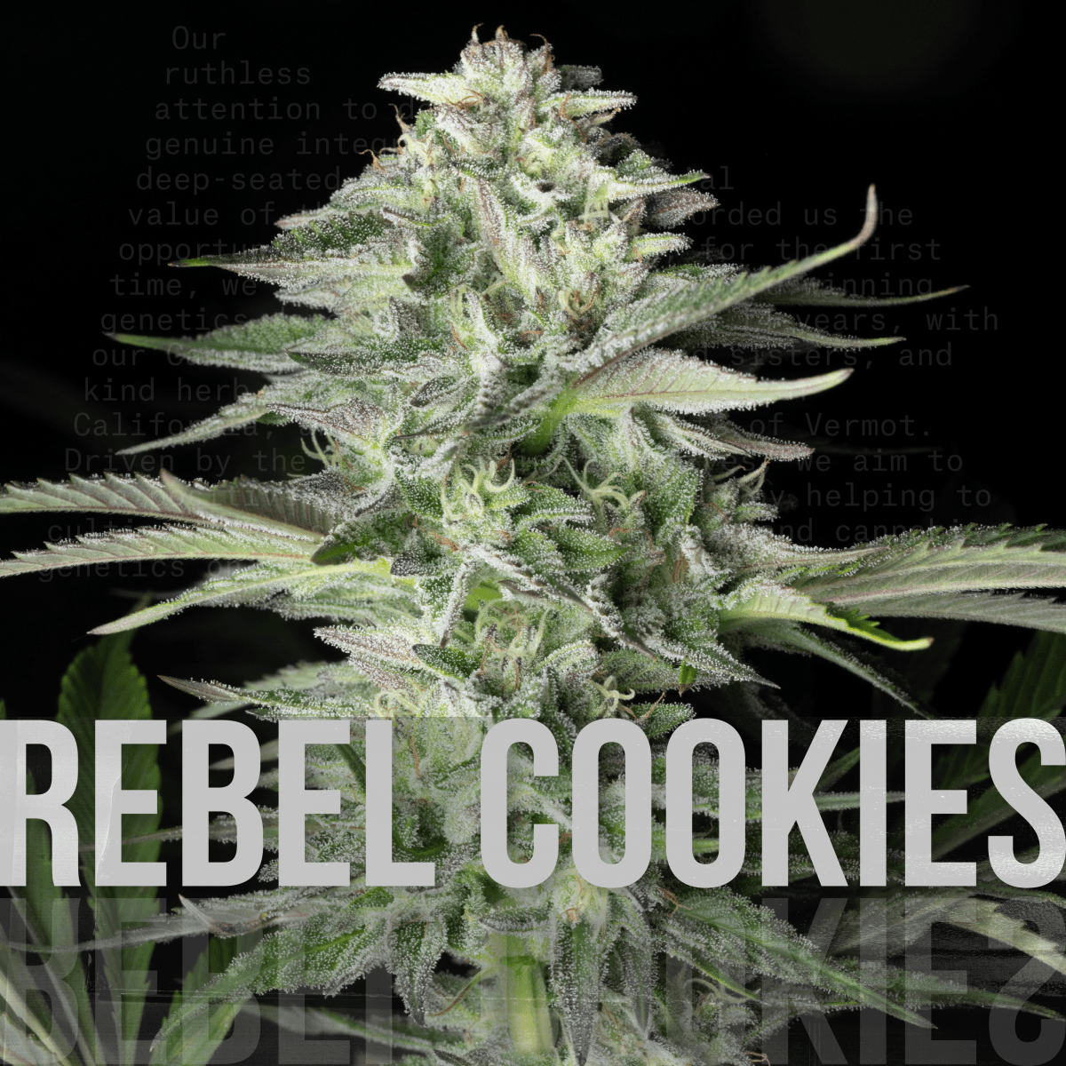 Rebel Grown Rebel Cookies