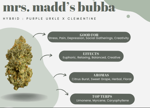 Leafology Mrs. Madd's Bubba Flower