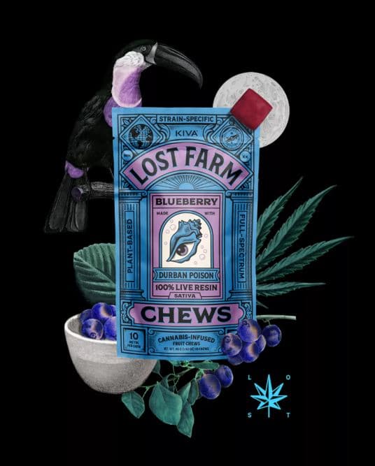 Kiva