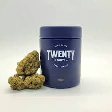 Twenty Twenty Hash Burger