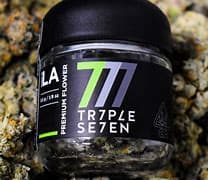 Triple 7 Premium Shelf Triple 7 Twisted Helix (H)