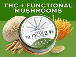 Nature's Heritage Chill | 5mg THC: 5mg CBG: 10mg CBD + Functional Mushrooms | 20pk Tablets | Mycro Dose