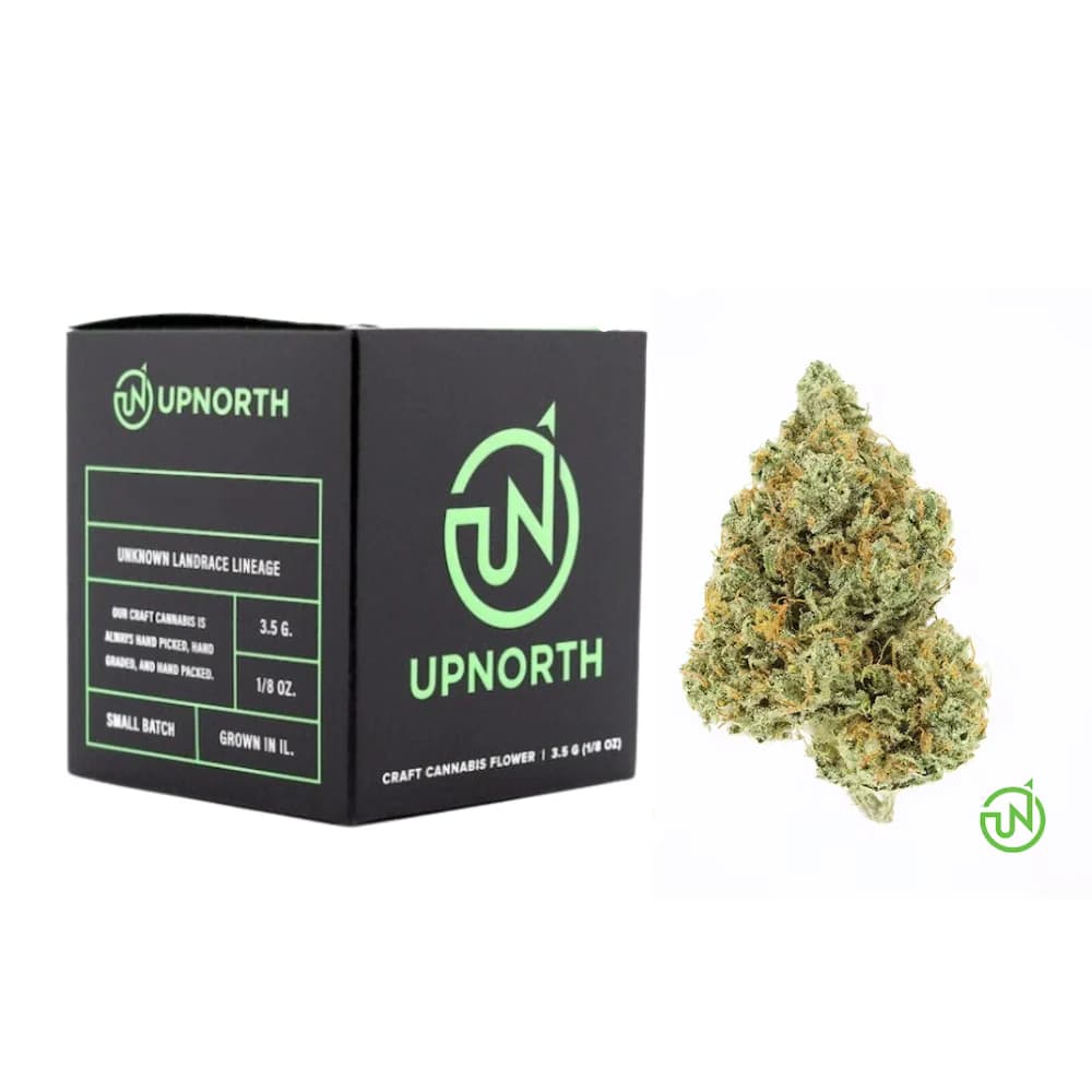 UpNorth NF-1