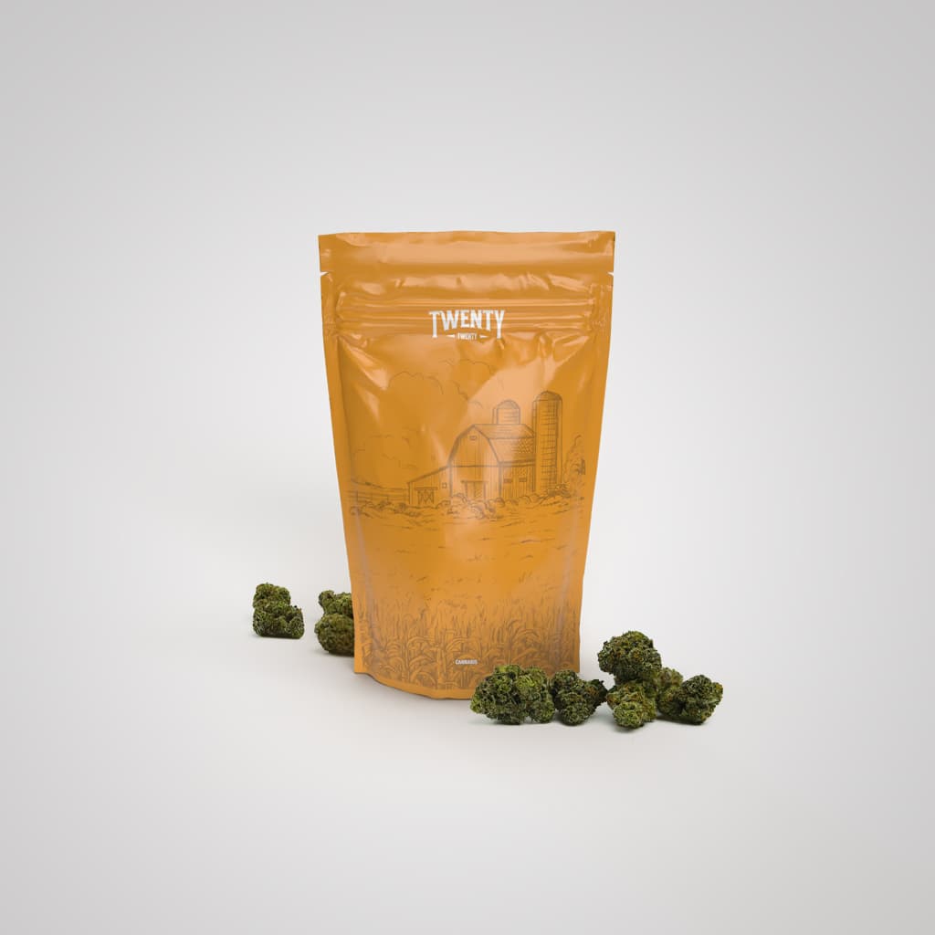 Twenty Twenty Hash Burger | 28g | Popcorn | Twenty Twenty