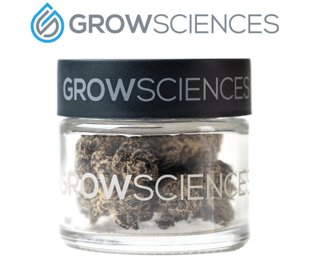 Grow Sciences Grow Sciences | Flower | Jelly RTZ | 3.5g