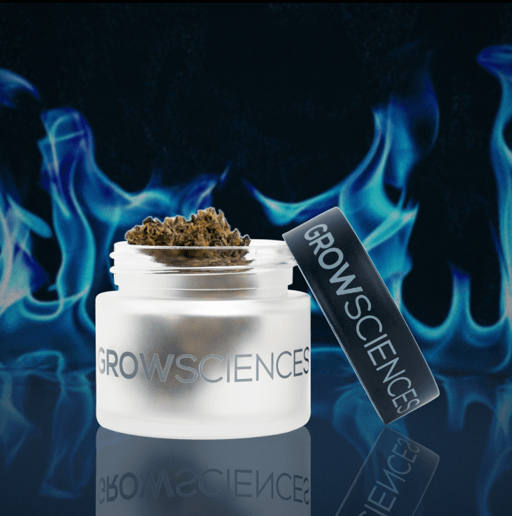 Grow Sciences Prickly Pear Grow Sciences Flower