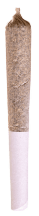 Potluck Potluck Beaver Tail Preroll 1x0.5g
