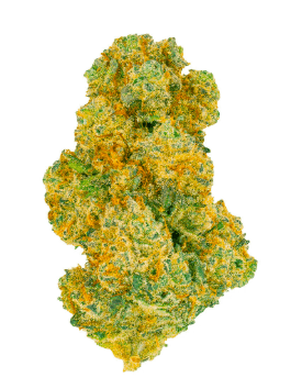San Raf San Raf Black Jelly 14g