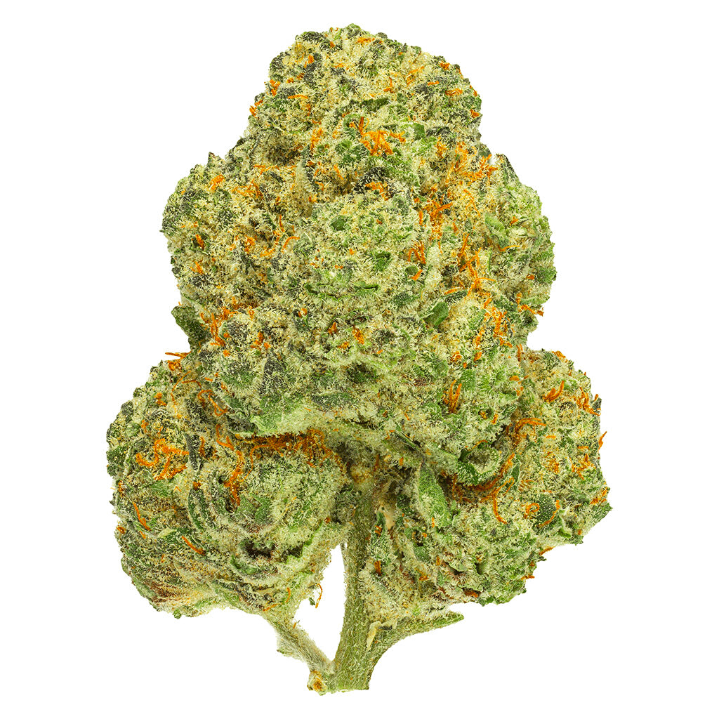 San Raf San Raf Chemango Kush 7g