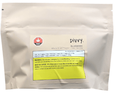 Divvy Divvy Blueberry 28g