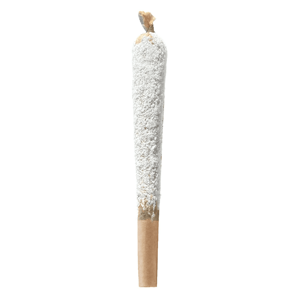 Versus Versus Frosty Slugger Infused Preroll 1x1g