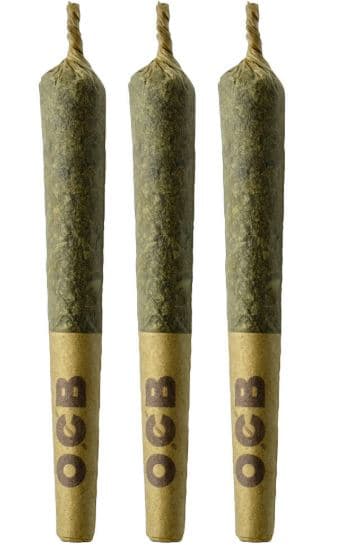 Coterie Coterie Alien Mintz Prerolls 3x0.5g