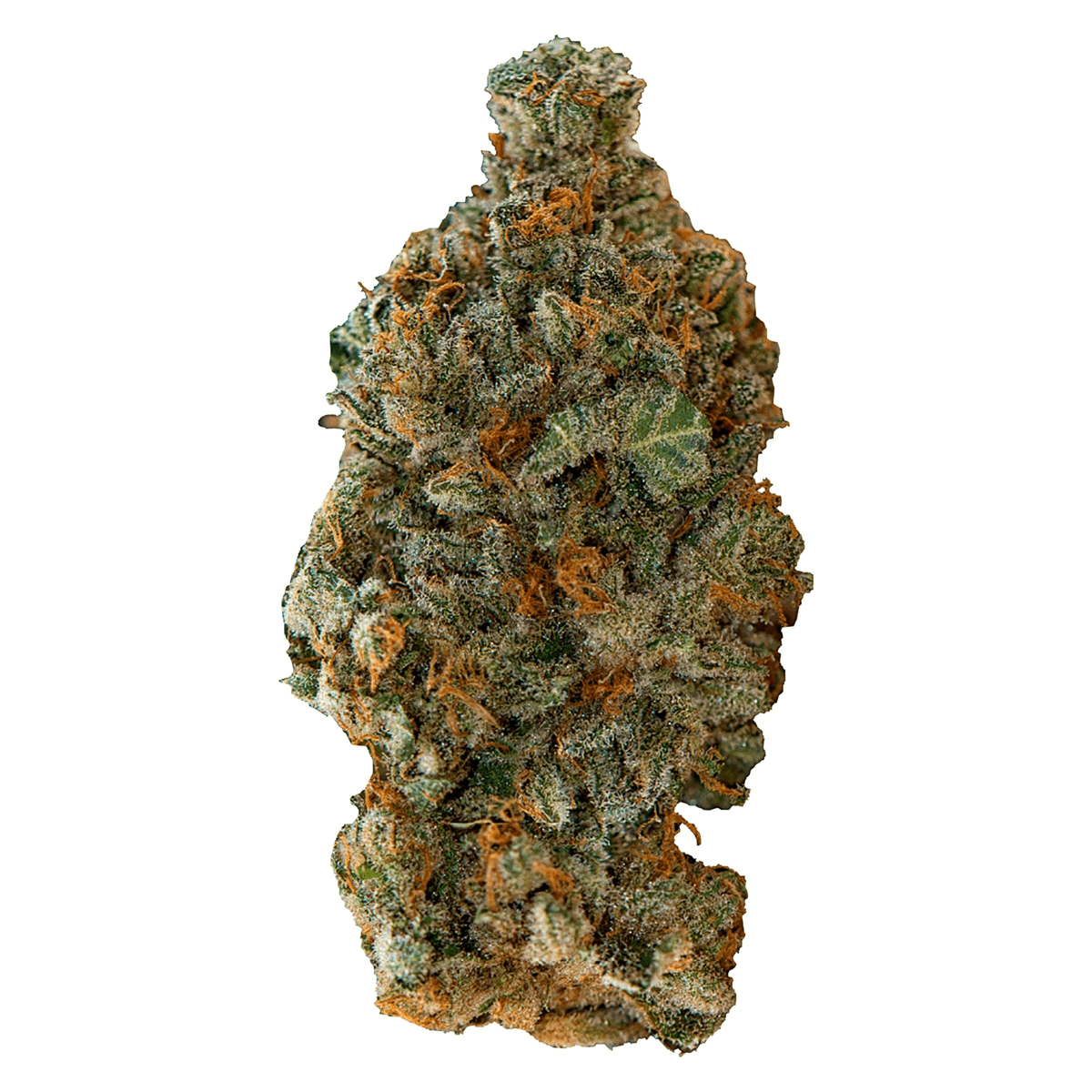 Versus Girl Scout Cookies - 7g