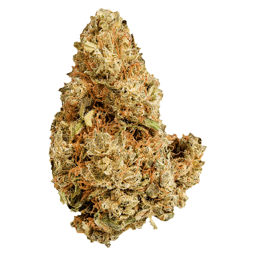 Versus Purple Afghani - 7g