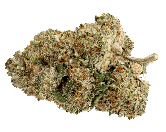 Pure Sunfarms Pink Rhino - Pure Sunfarms - Dried Flower