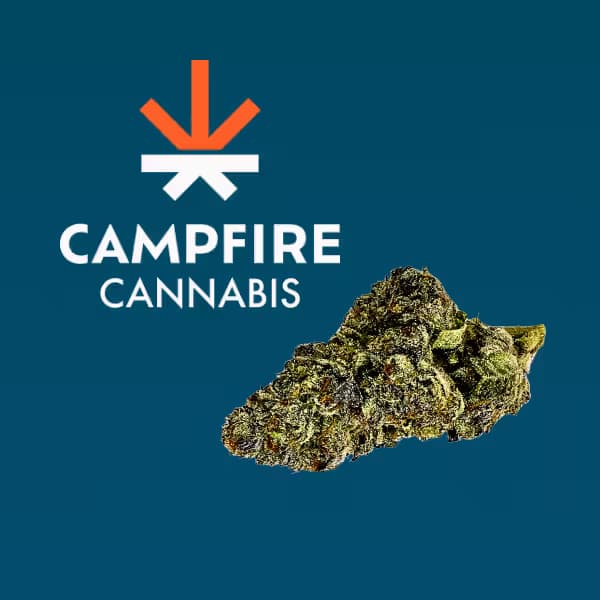 Campfire Cannabis Grape Canyon Zkittlez