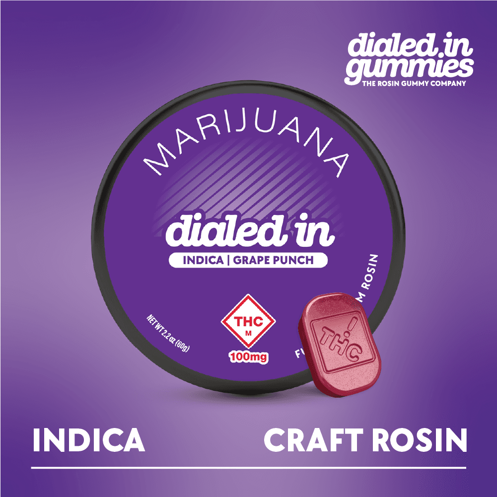 Dialed In Gummies 300mg - Grape Punch - Rosin Gummies (10pk)