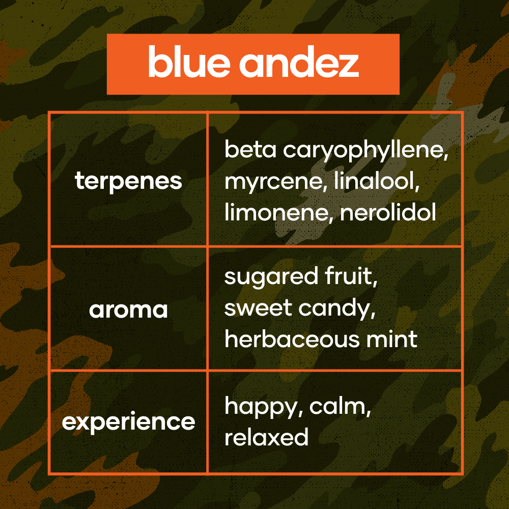 CODES Flower | Blue Andez | 3.5g