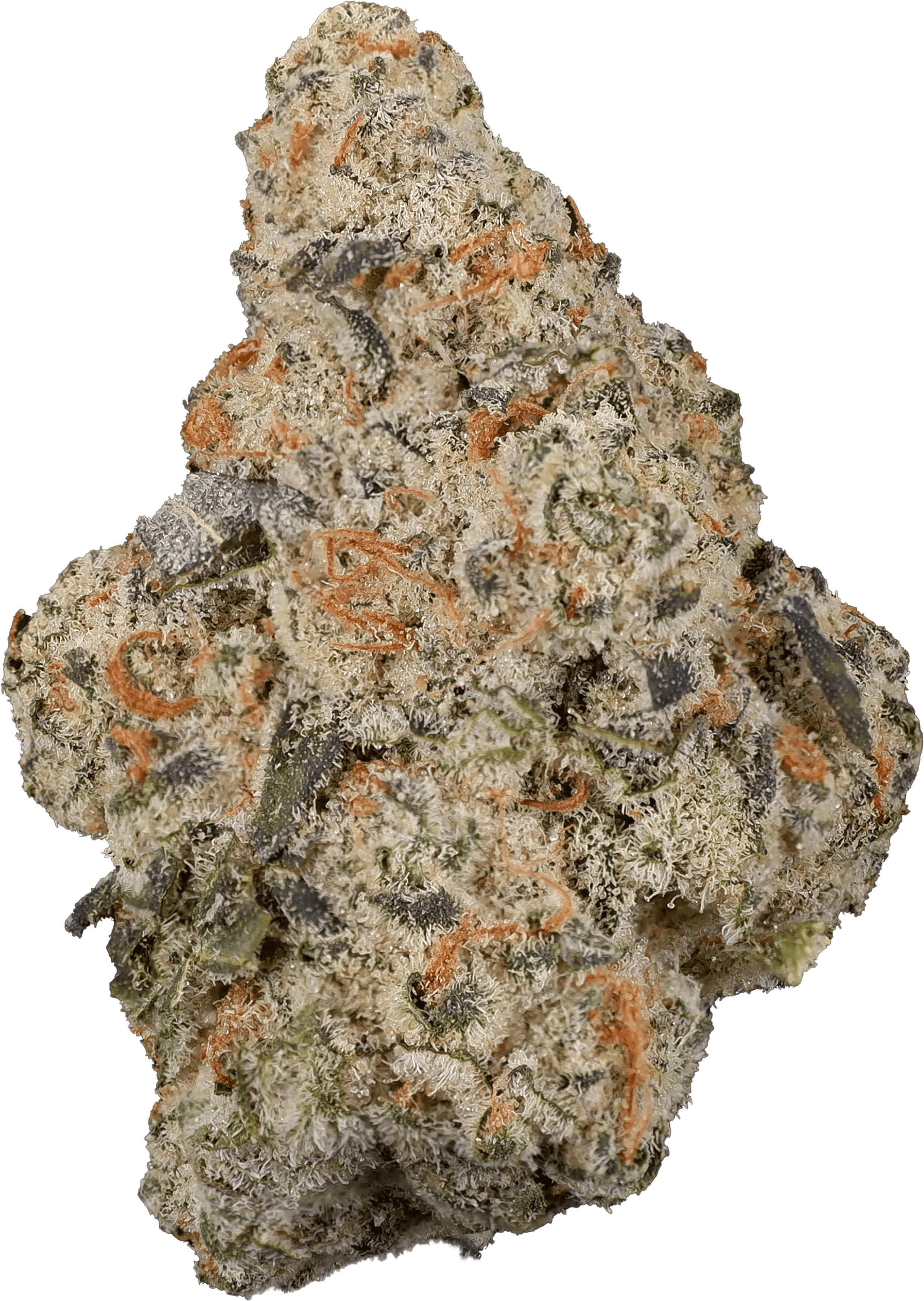The Loud Plug Purple Rain - 7g