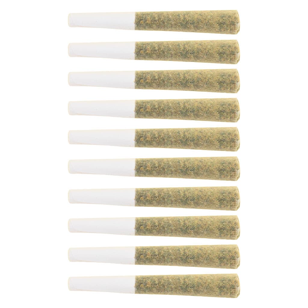 The Loud Plug