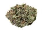 1964 1964 Organic Comatose 3.5g