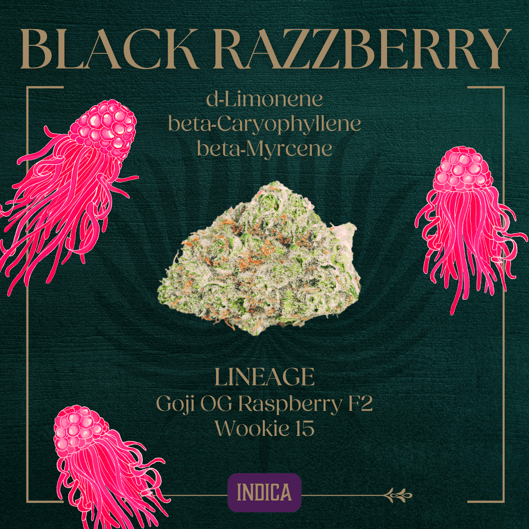 Peak Black Razzberry Flower | 3.5g