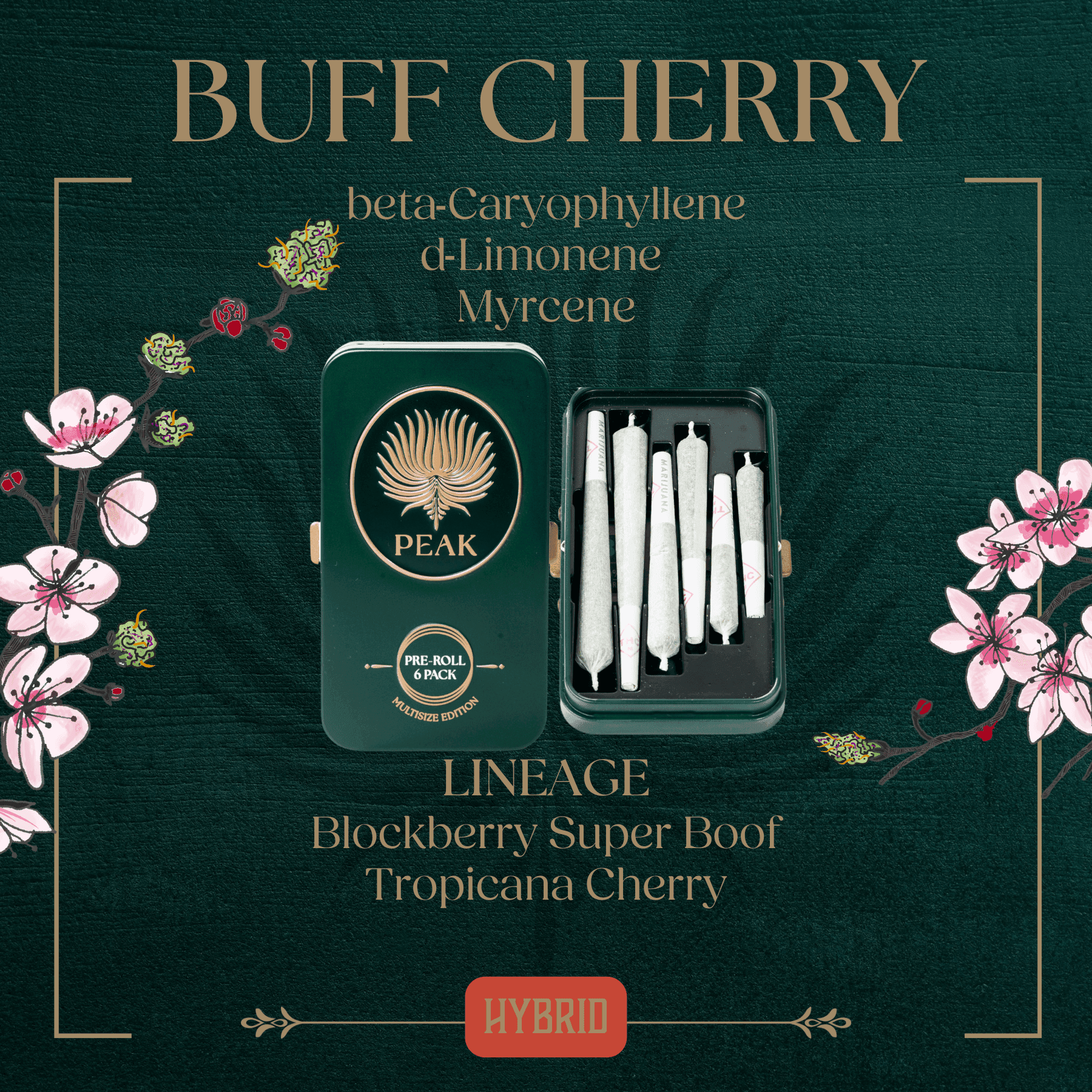 Peak Buff Cherry Pre-Roll Multi Size | 6-pack