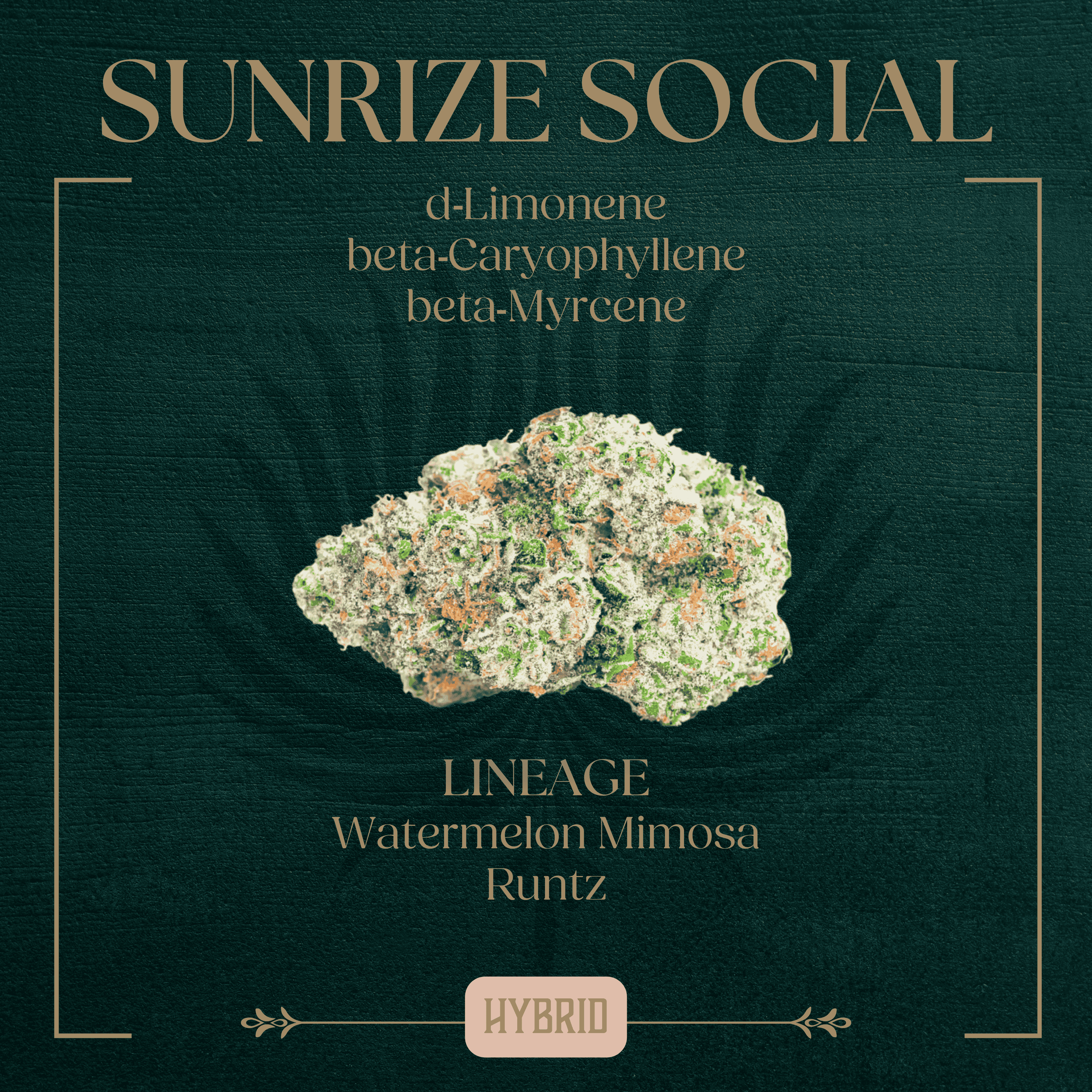 Peak Flower | Sunrize Social | 3.5g