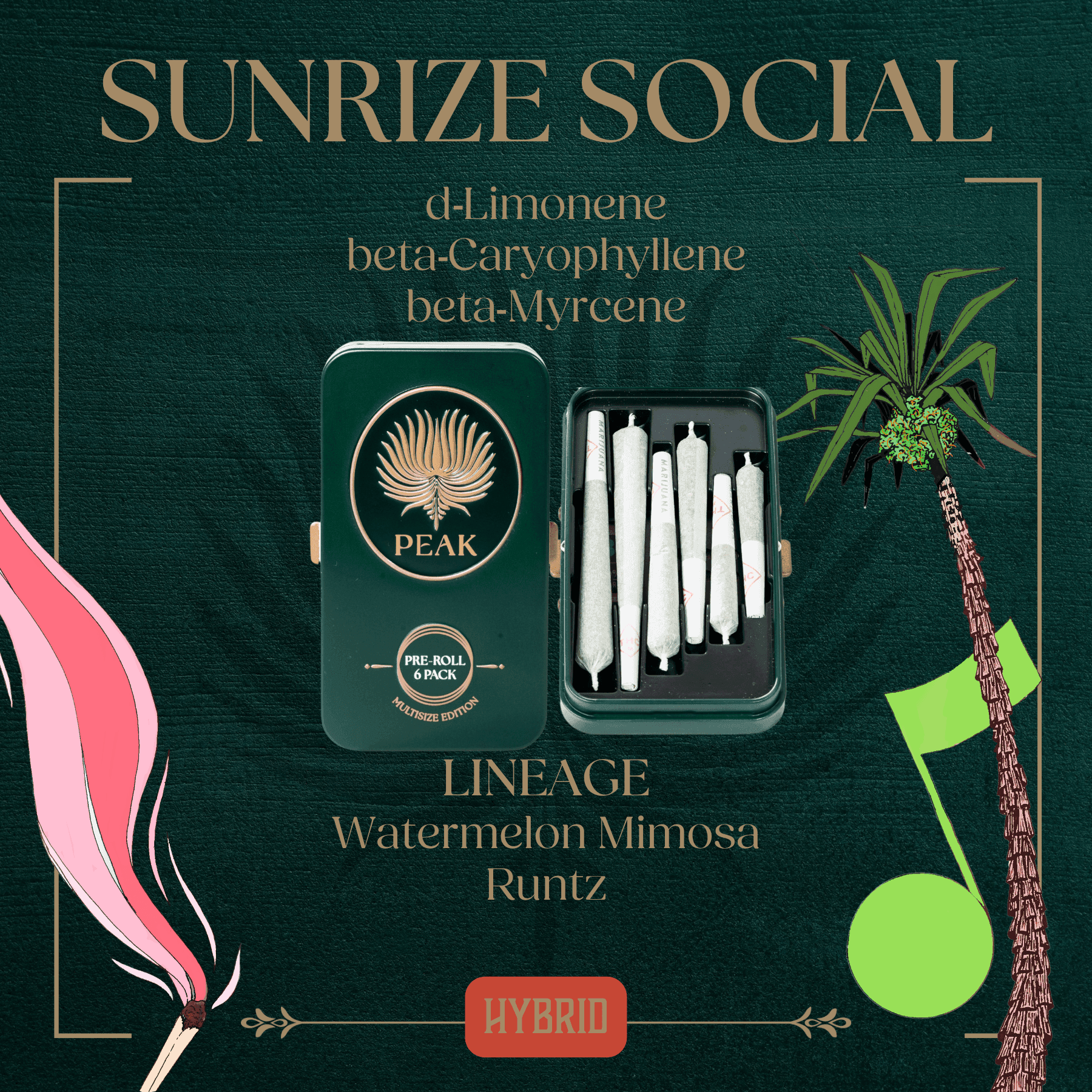 Peak Sunrize Social Pre-Roll Multi Size | 6-pack