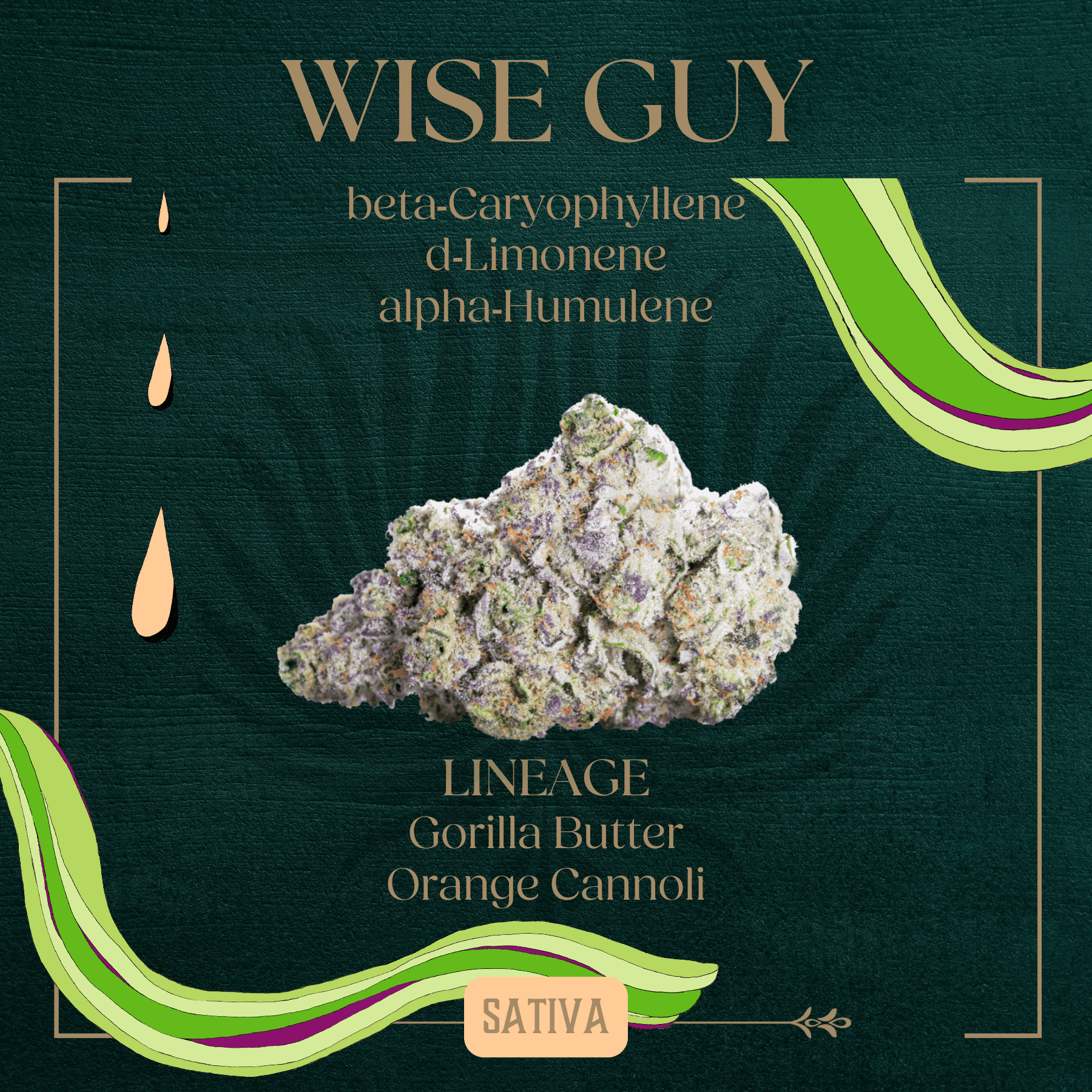 Peak Wise Guy Flower | 3.5g