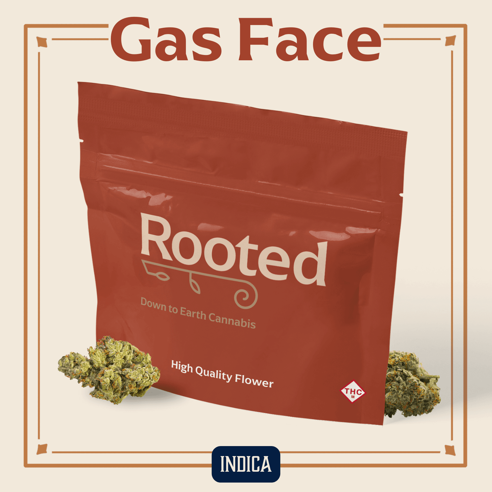 Rooted Gas Face Flower | 14g