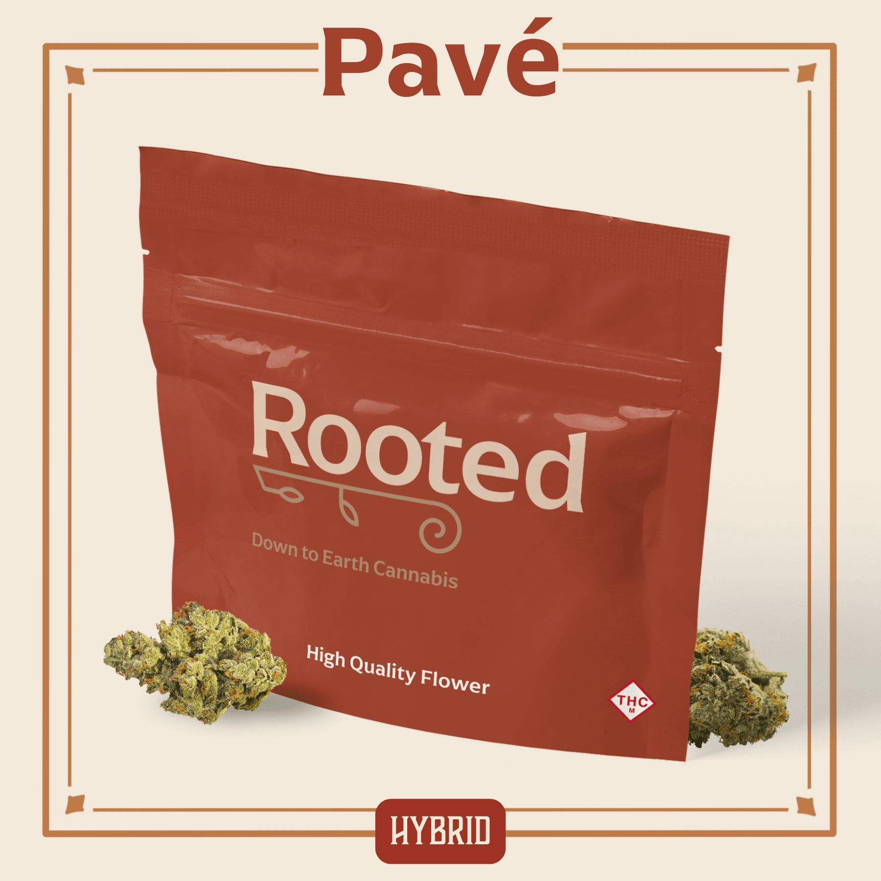 Rooted Pavé Flower | 14g