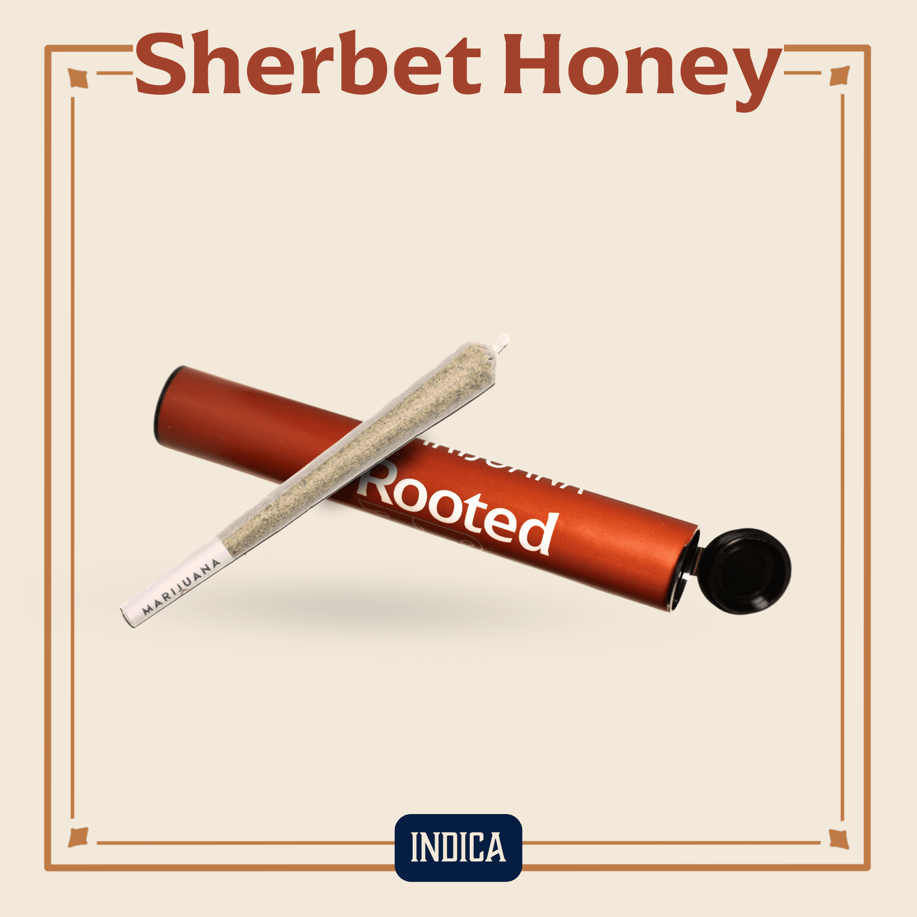 Rooted Sherbet Honey Pre-Roll | 1g