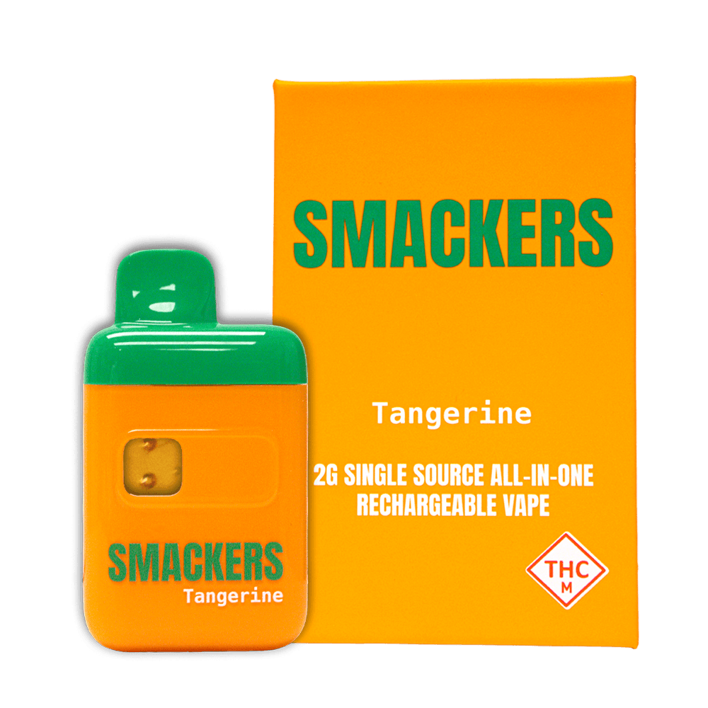 Smackers 2g Disposable Vape | Tangerine