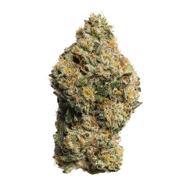 Proper Cannabis Ghost OG