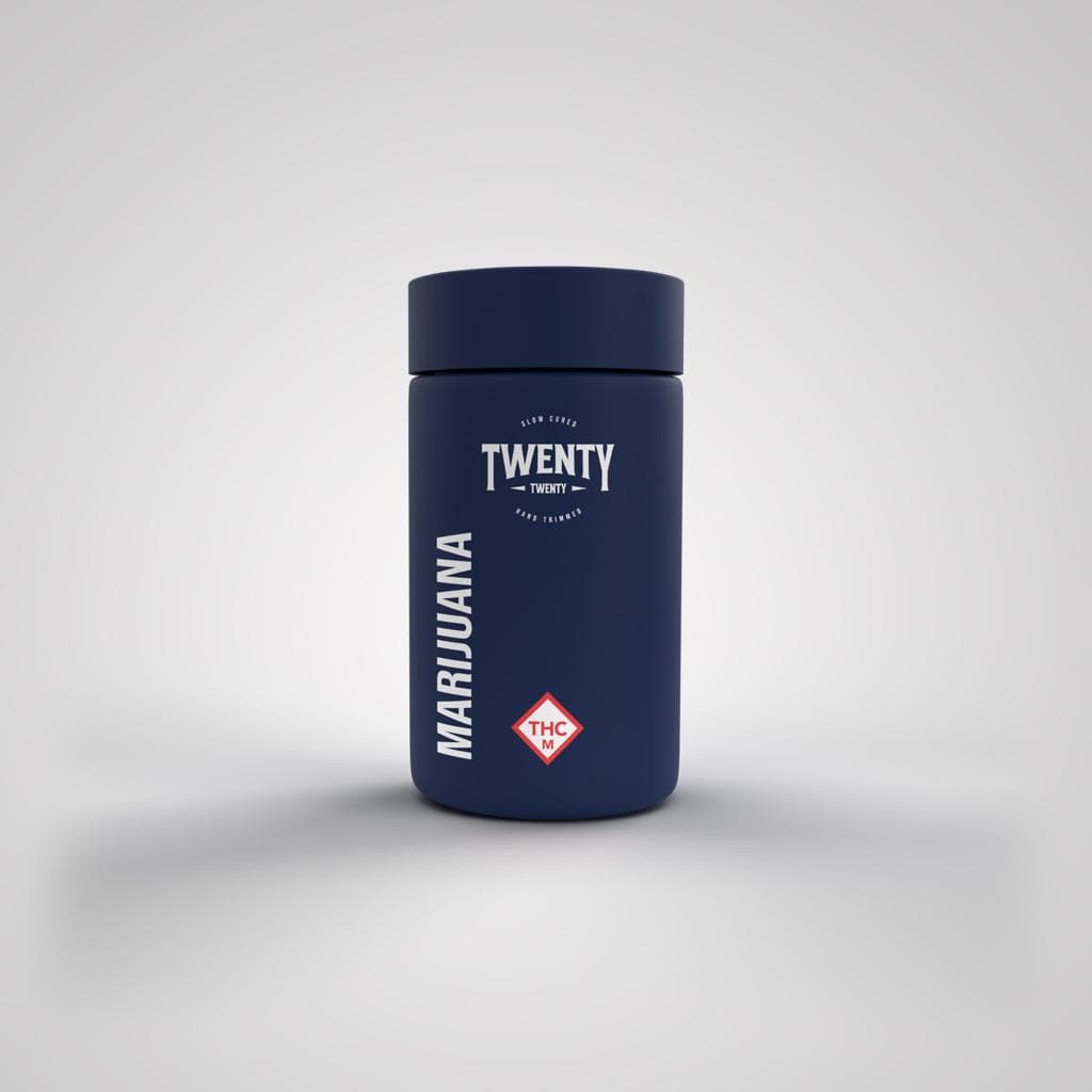 Twenty Twenty HOT PANTS - HYBRID