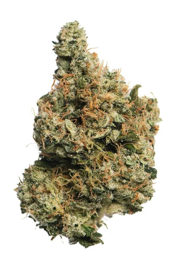 Proper Cannabis Proper: Flower | Ecto Cookies | 3.5g