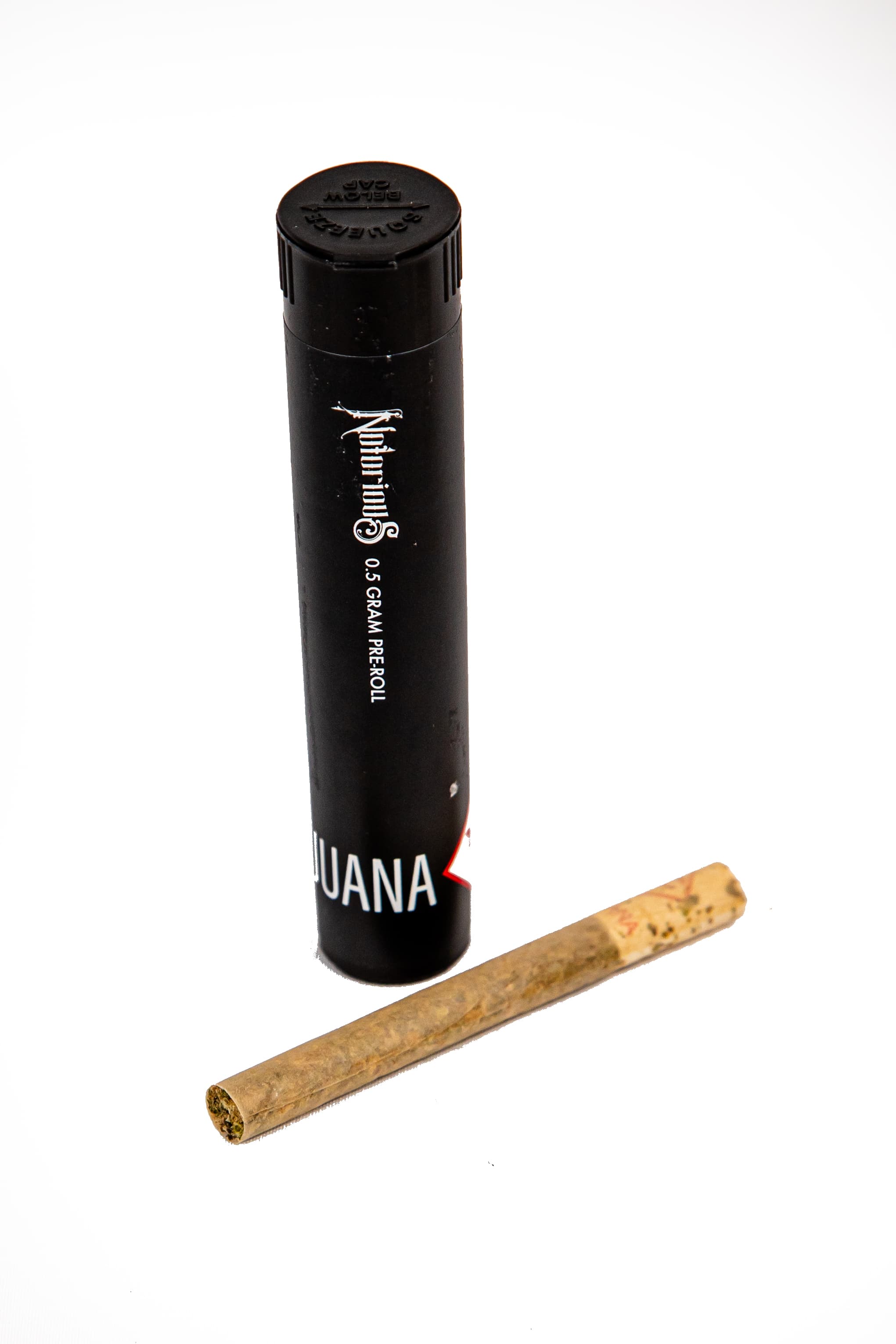 Notorious Notorious: PreRoll (Black Maple)