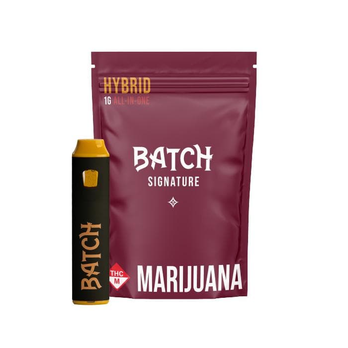 BATCH Disposable 1g | Batch Juicy Melons