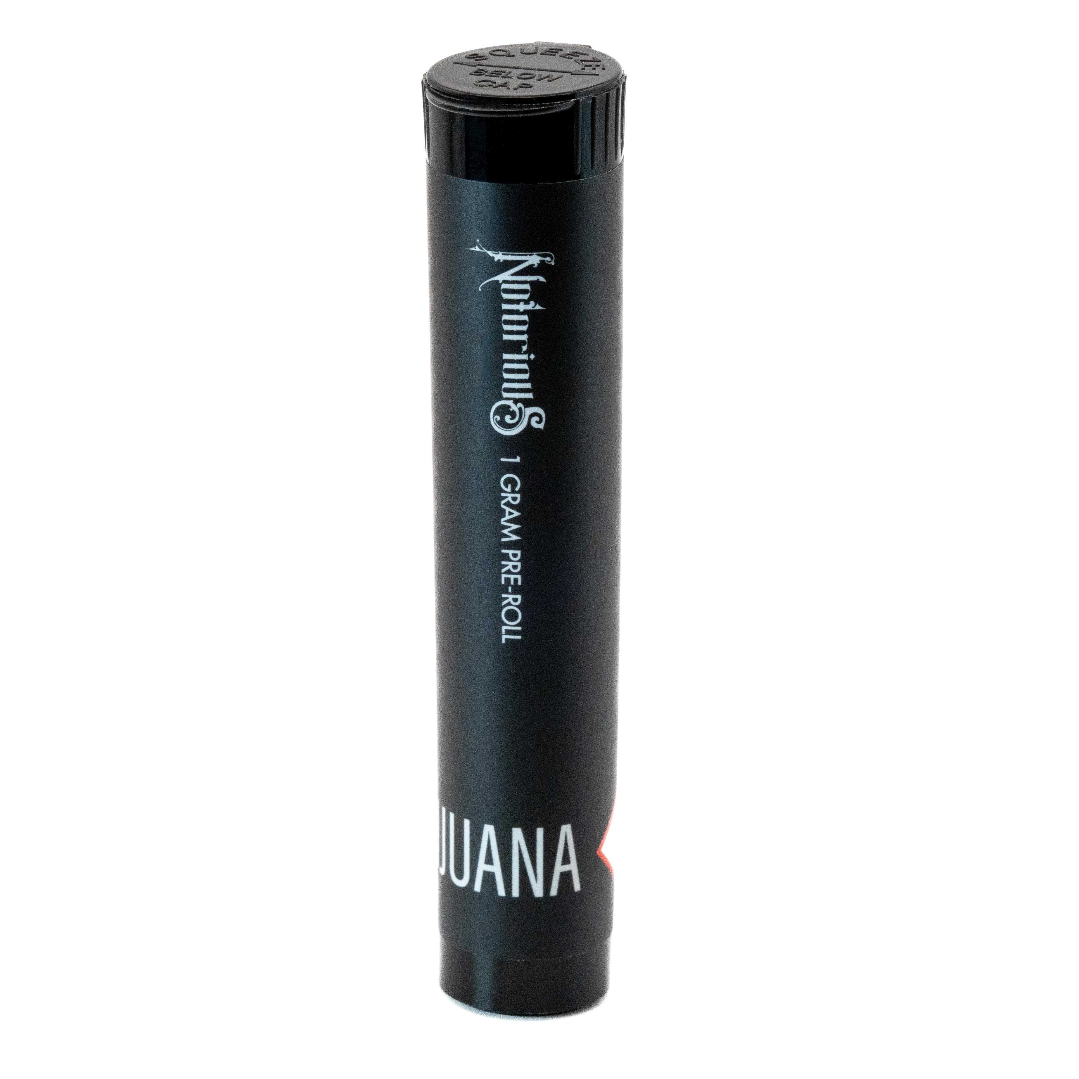 Notorious Piescream (IH) - Notorious - 1g Pre-Roll