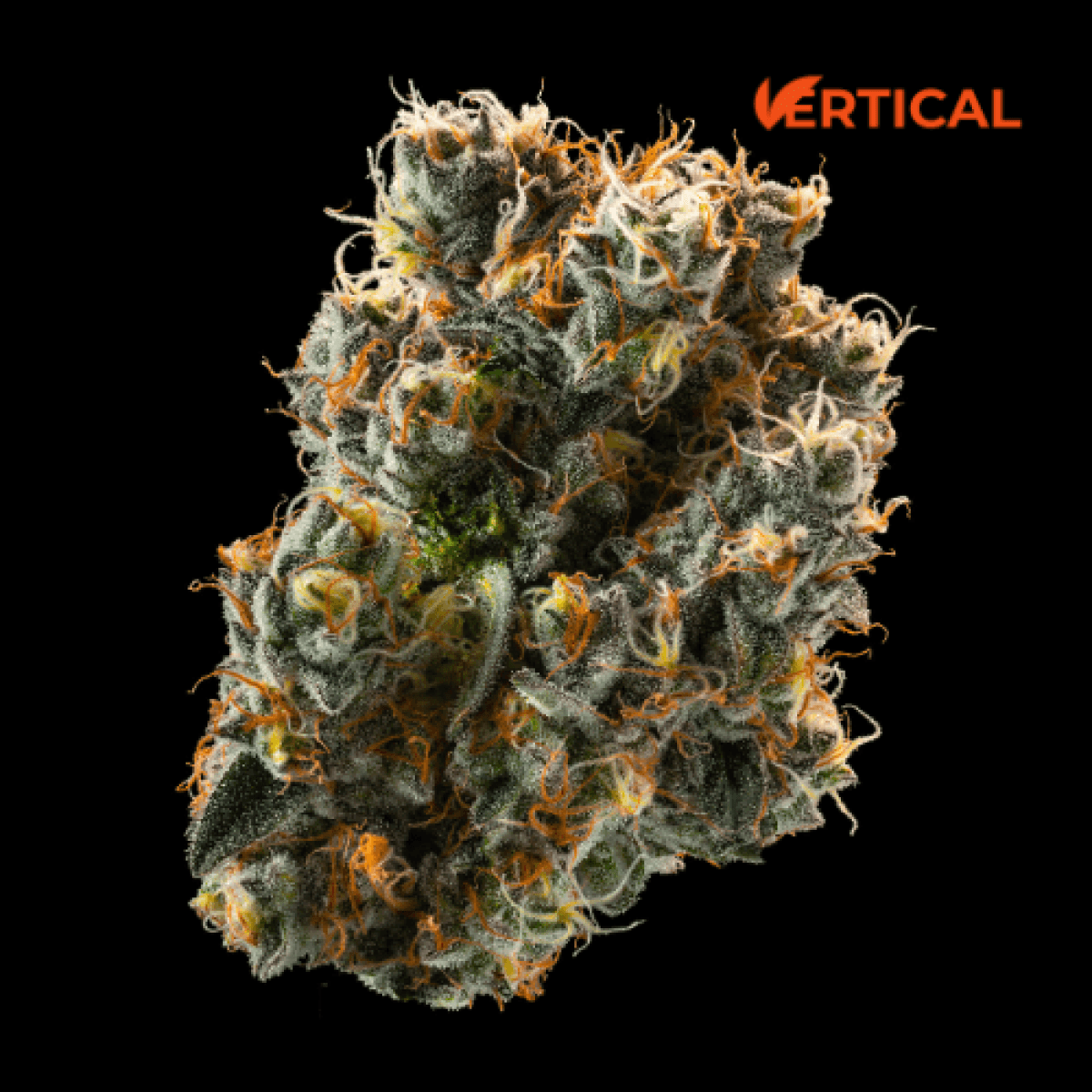 Vertical Cannabis Scotch and Soda 3.5g