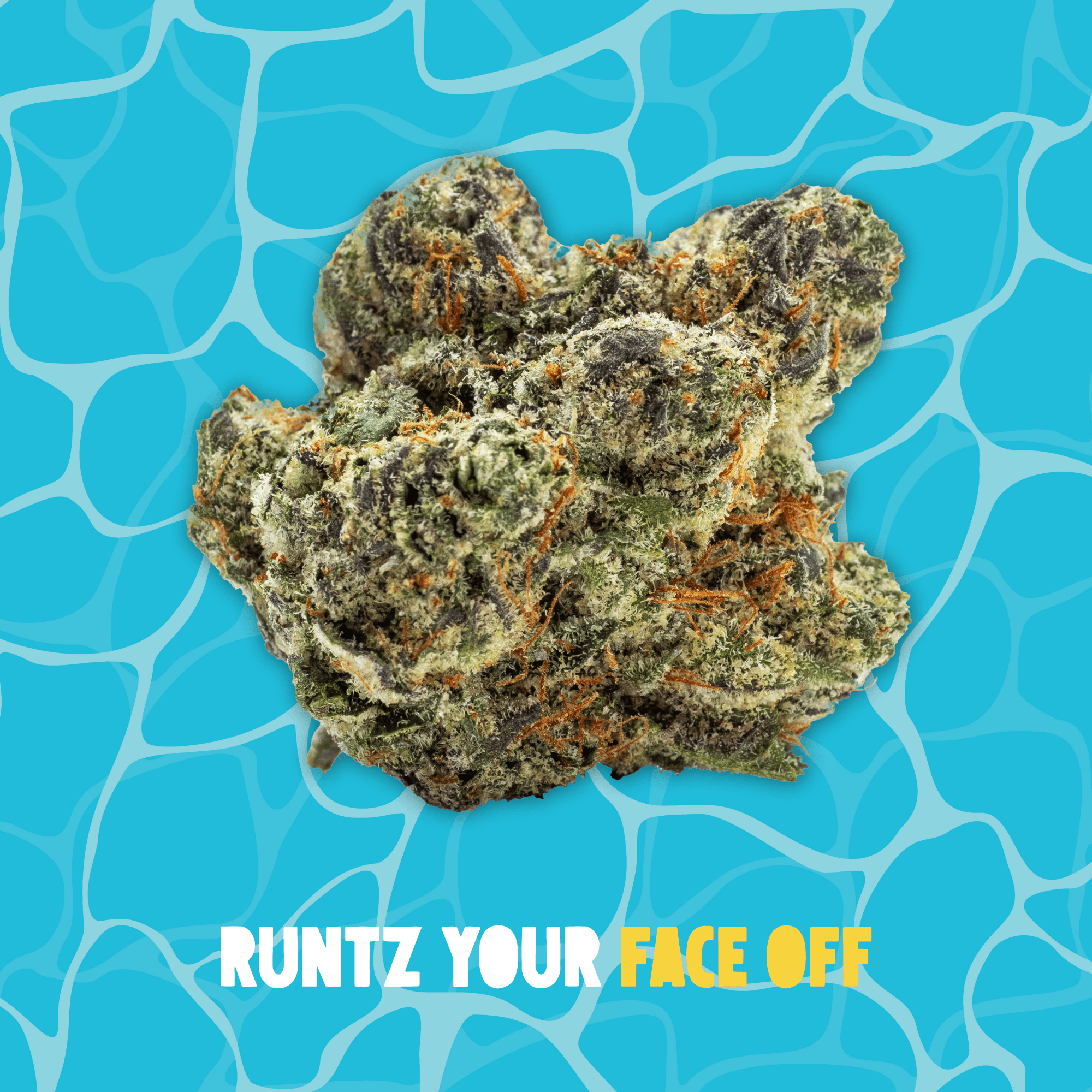 Buoyant Bob Runtz Your Face Off