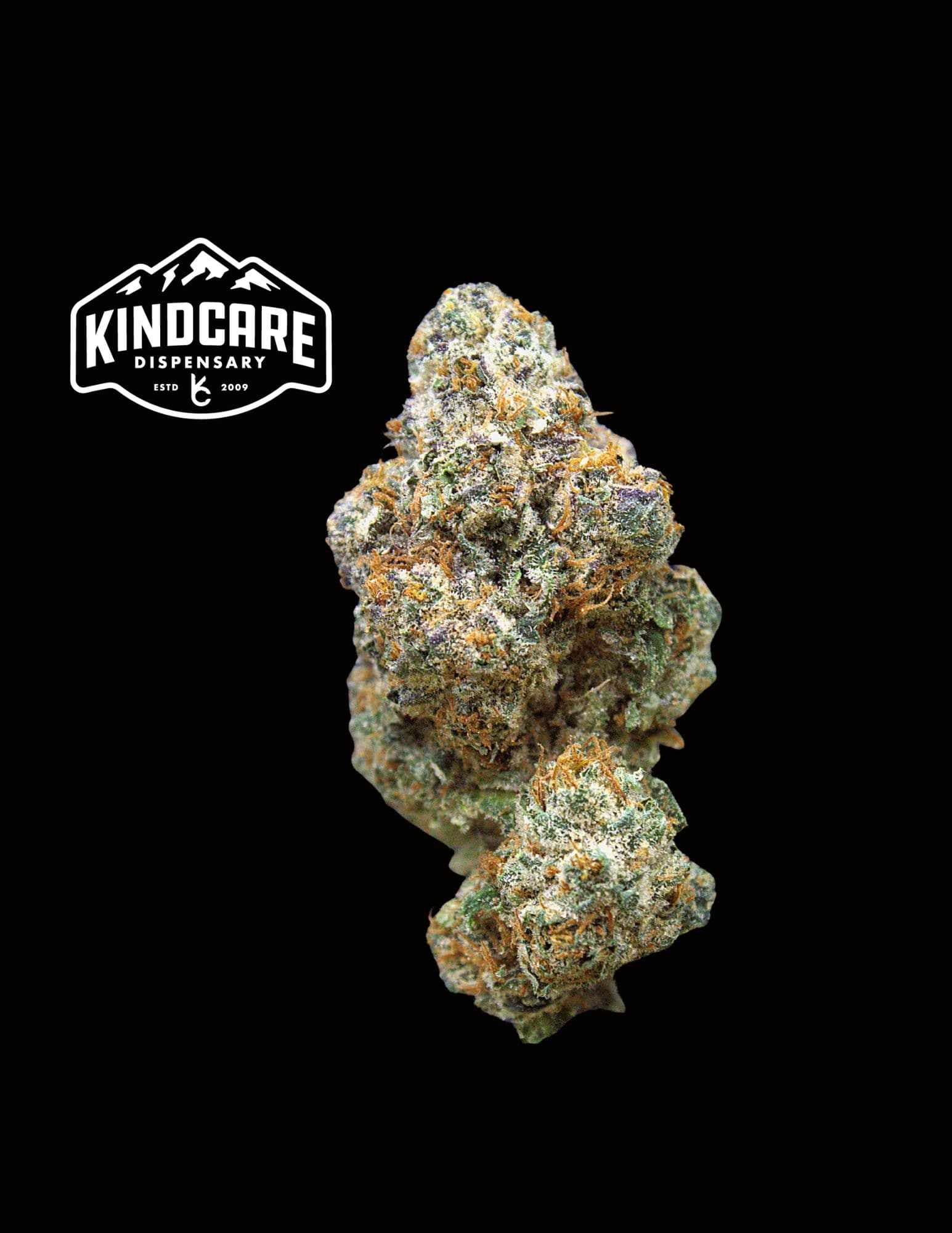 Kind Care of Colorado OC Skunk