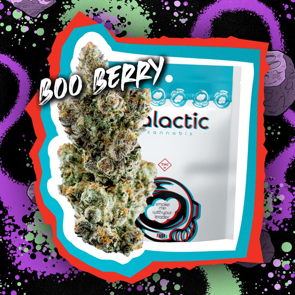 Galactic Boo Berry | Pre-pack | 3.5g