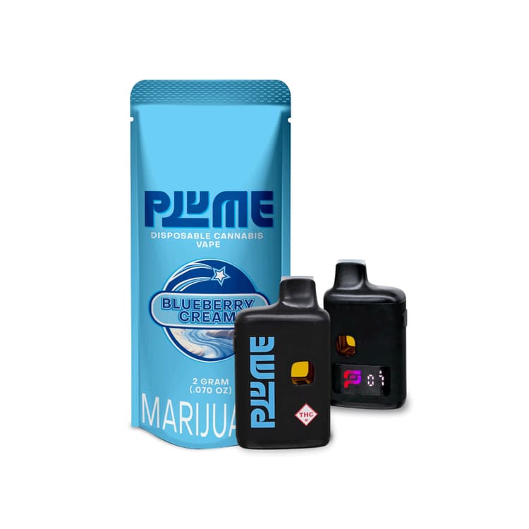 PLUME Blueberry Cream | Disposable