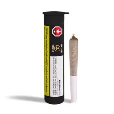 Station House Blue Dream | 1x0.5g