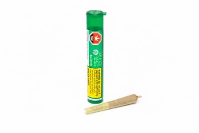 Space Race Space Race Sputnik Preroll 1x0.4g